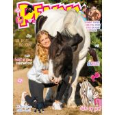 Penny magazine
