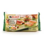 Delhaize Mini toasts