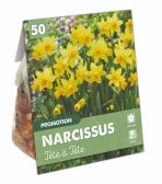 Narcissus Botanical Tete a Tete