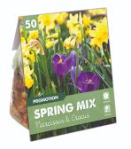 Narcissus Botanical Tete a Tete + Crocus Flower Mix