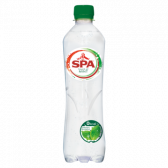 Spa Sparkling spring water mint small