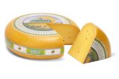 Weydeland 48+ kaas belegen groot (4 maanden) 