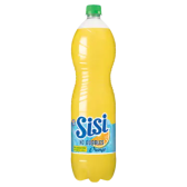 Sisi Sinas orange no bubbles large