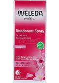Weleda Organic wild roses deodorant