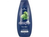 Schwarzkopf Shampoo voor mannen groot