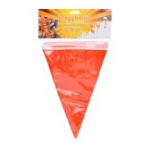 Vlaggenlijn oranje (10 m)