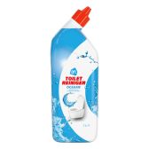 Albert Heijn Toilet cleaner ocean